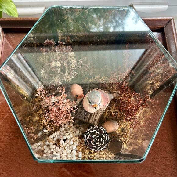 Vintage Terrarium with Moss Composition 6" Glass Planter Decor - Picture 3 of 13